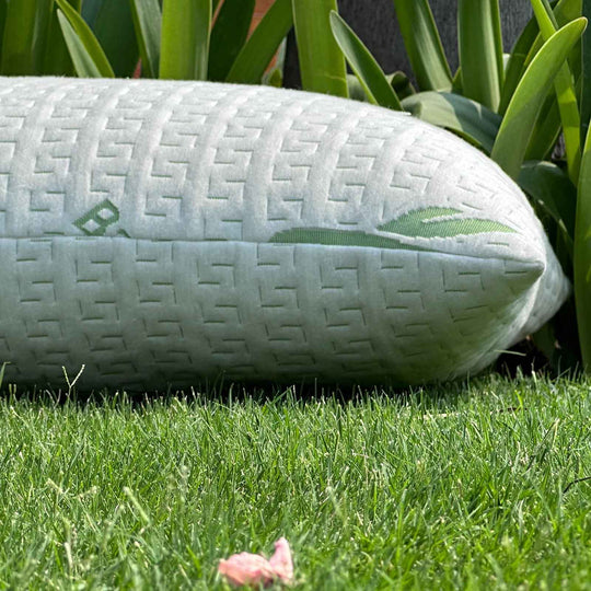 Bamboo Green Pillow Cover (Pack of 2)