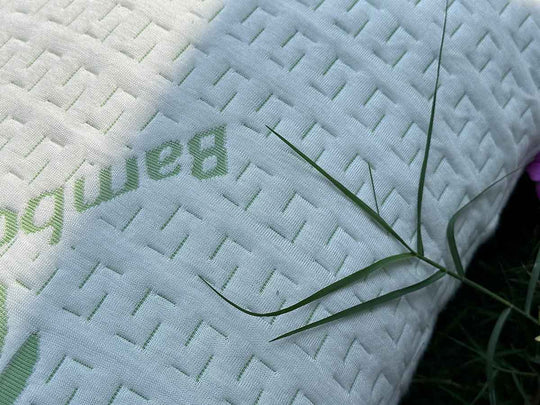 Bamboo Green Pillow Cover (Pack of 2)