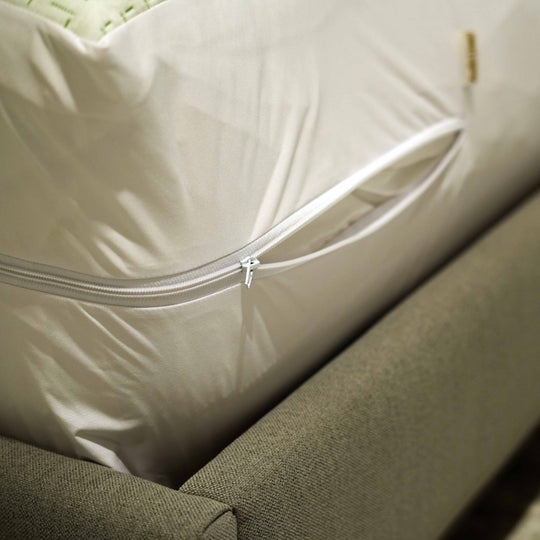 Bamboo Green Waterproof Mattress Encasement