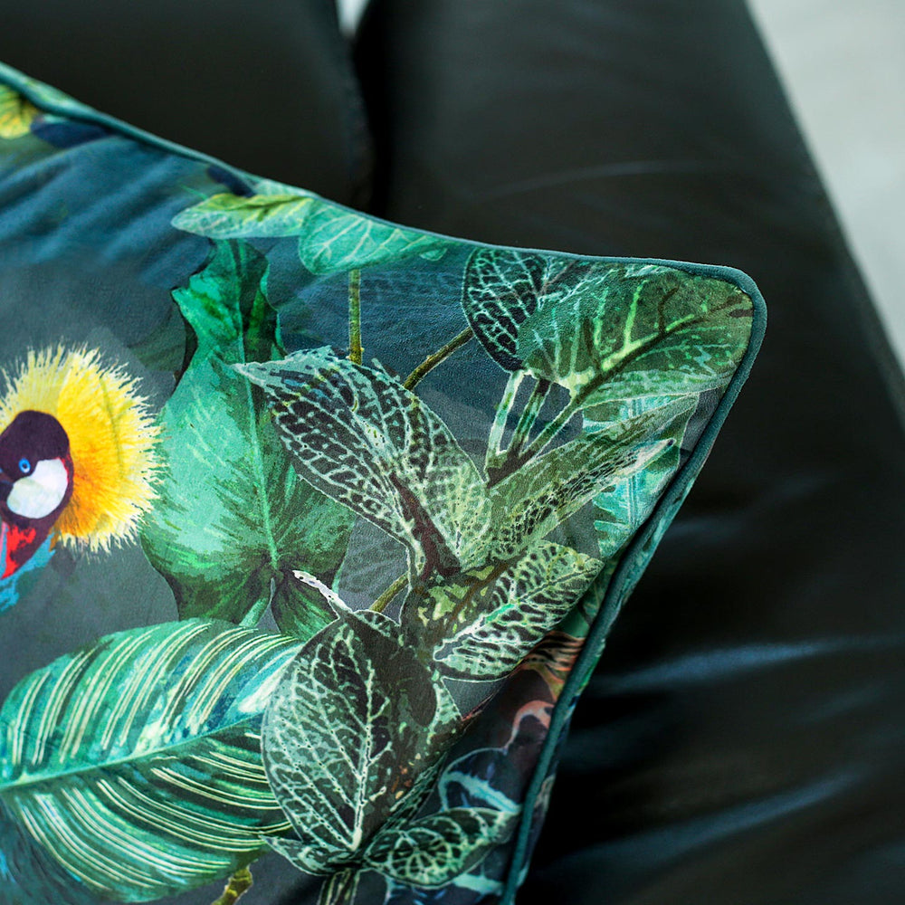 Peacock Veloudo Designer Cushion