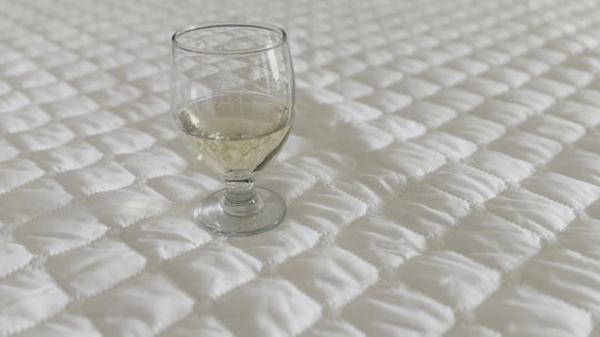 Pinsonic Quilted Waterproof Mattress Protector